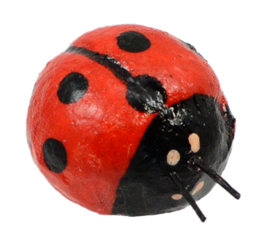 Ladybugs On Wire Picks (12) detail photo 4