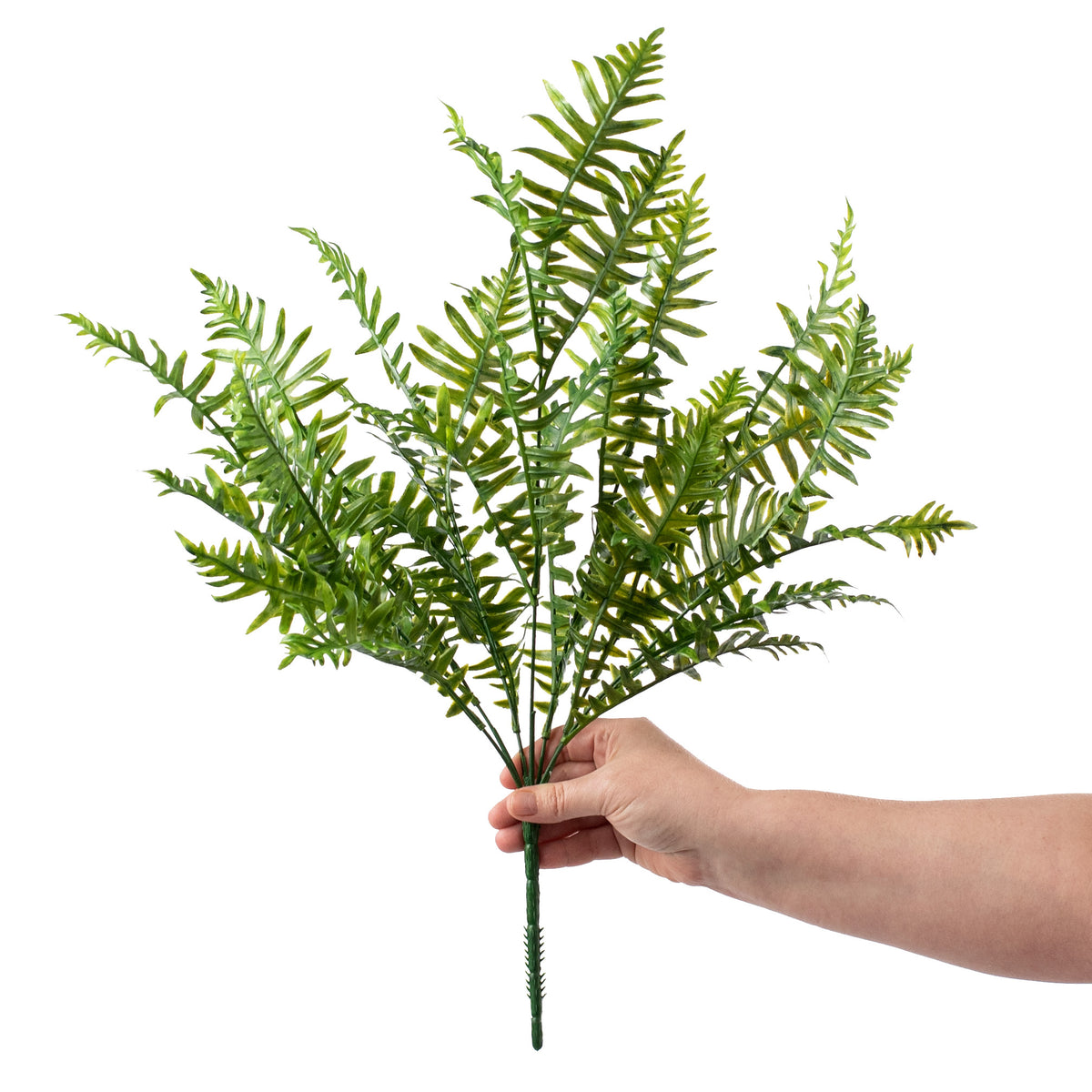 22" Leather Fern Bush detail photo 3