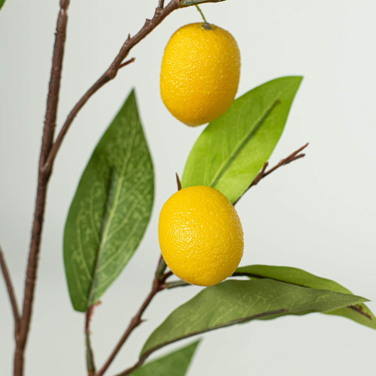 38" Lemon Branch Lifestyle Photo