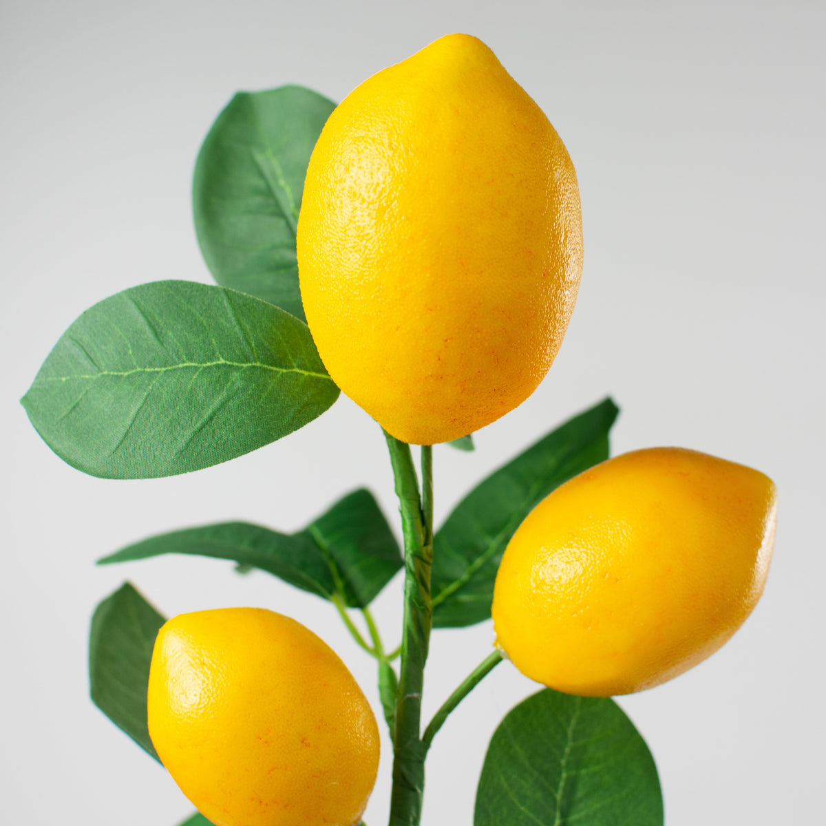 16" Lemon & Leaves Pick Lifestyle Photo