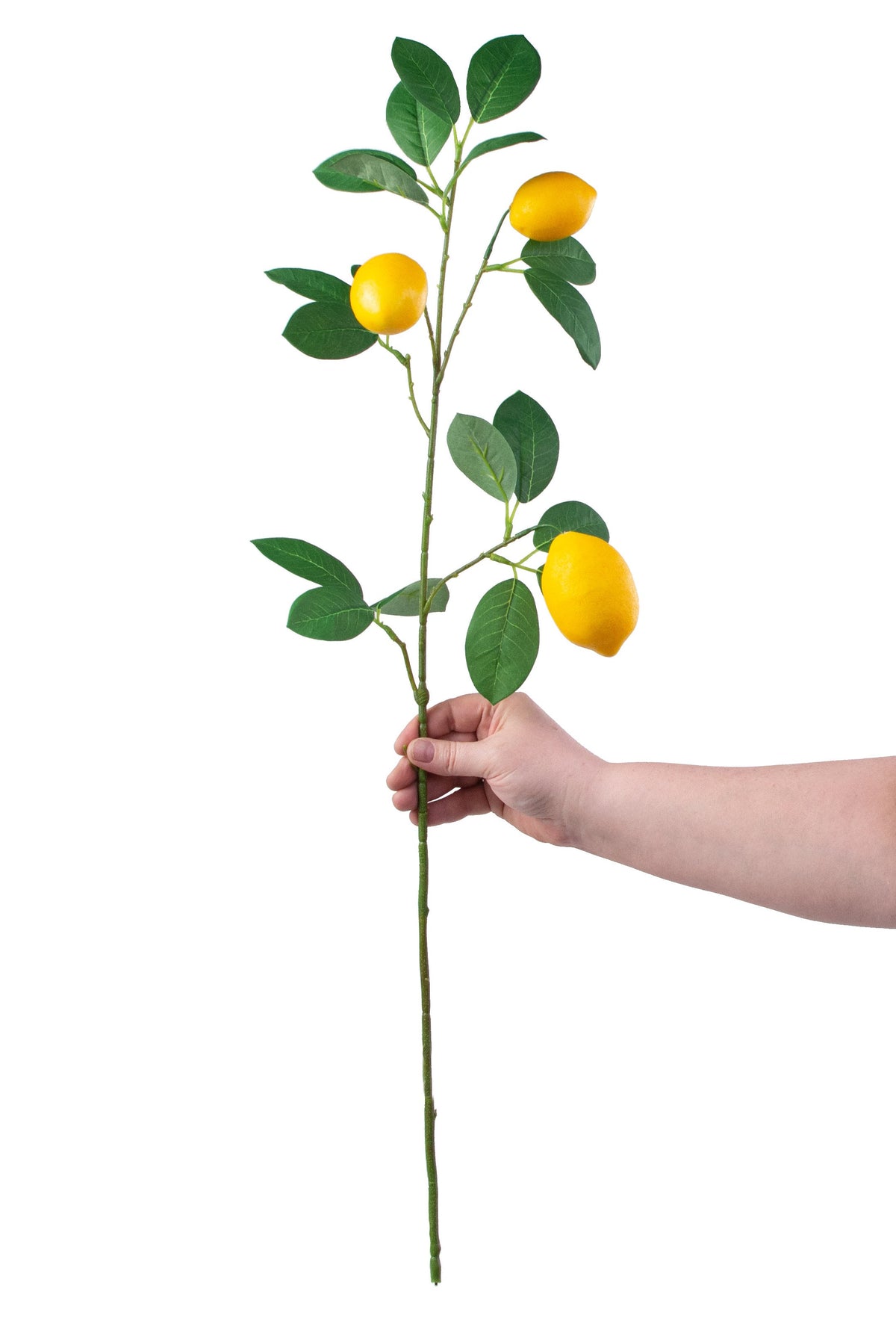30" Lemon & Leaves Spray detail photo 3