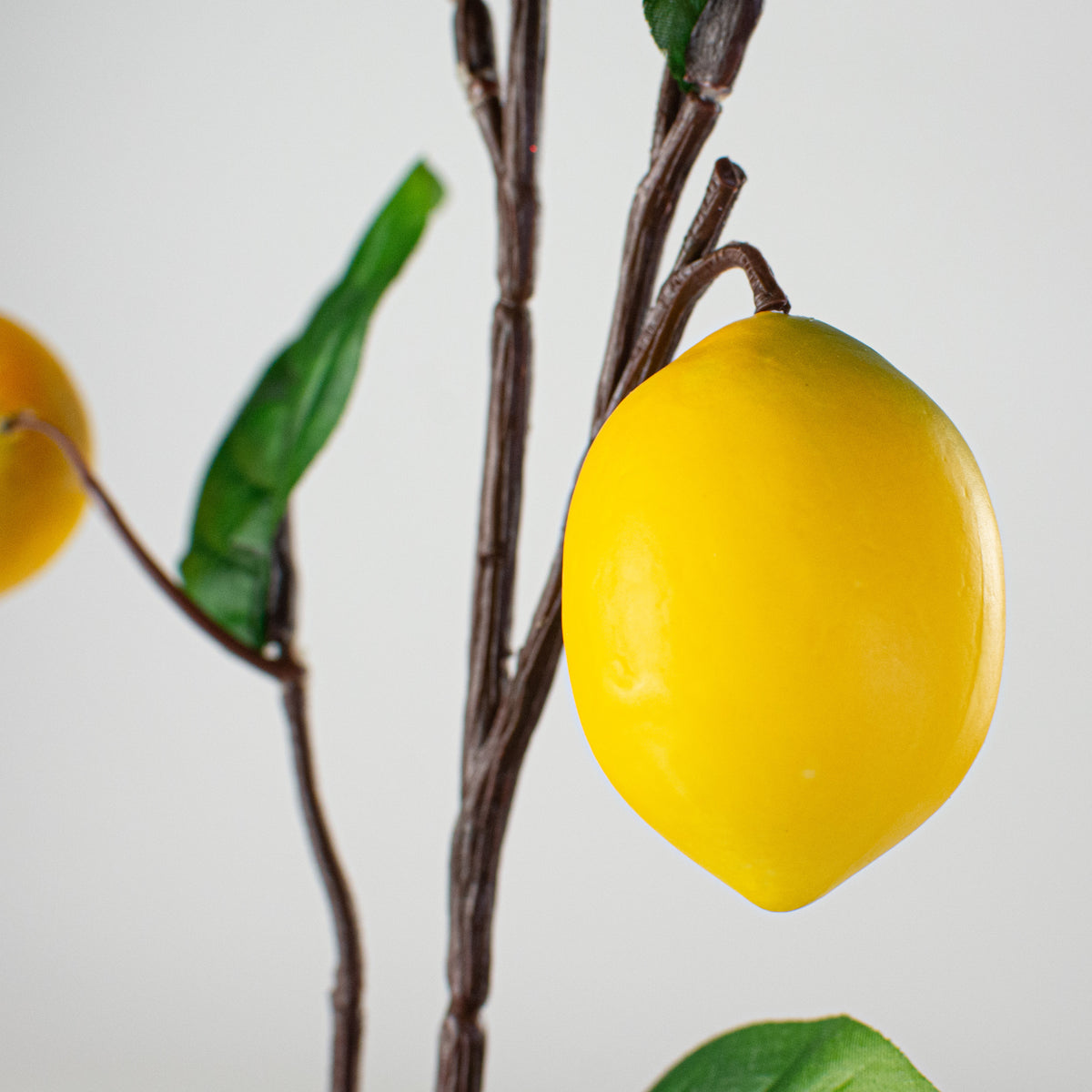 22" Lemon Spray Lifestyle Photo