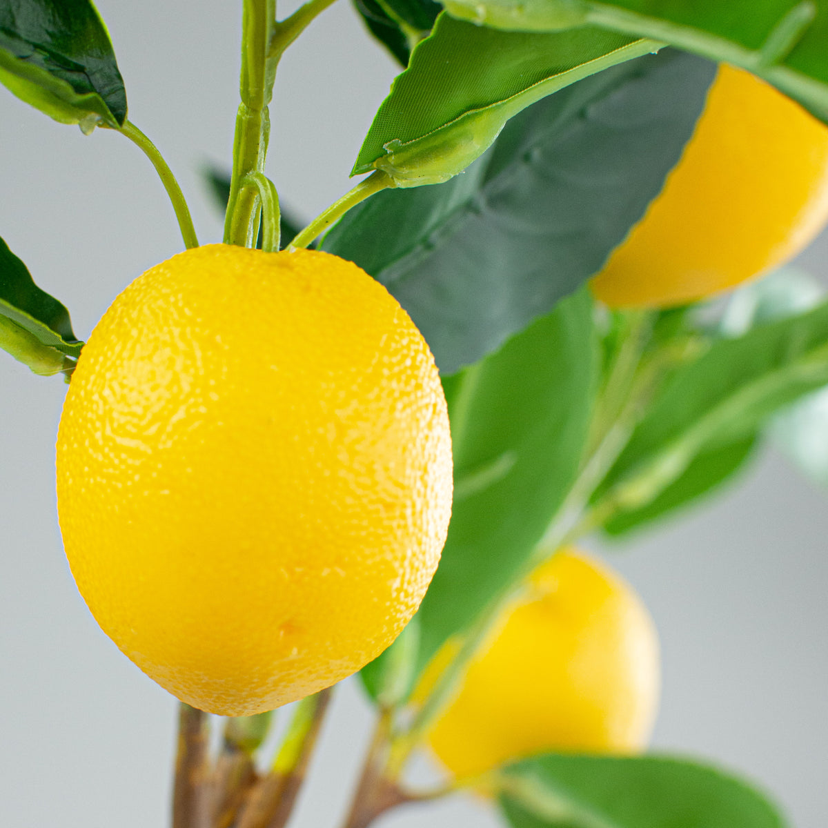 29" Lemon Spray Lifestyle Photo