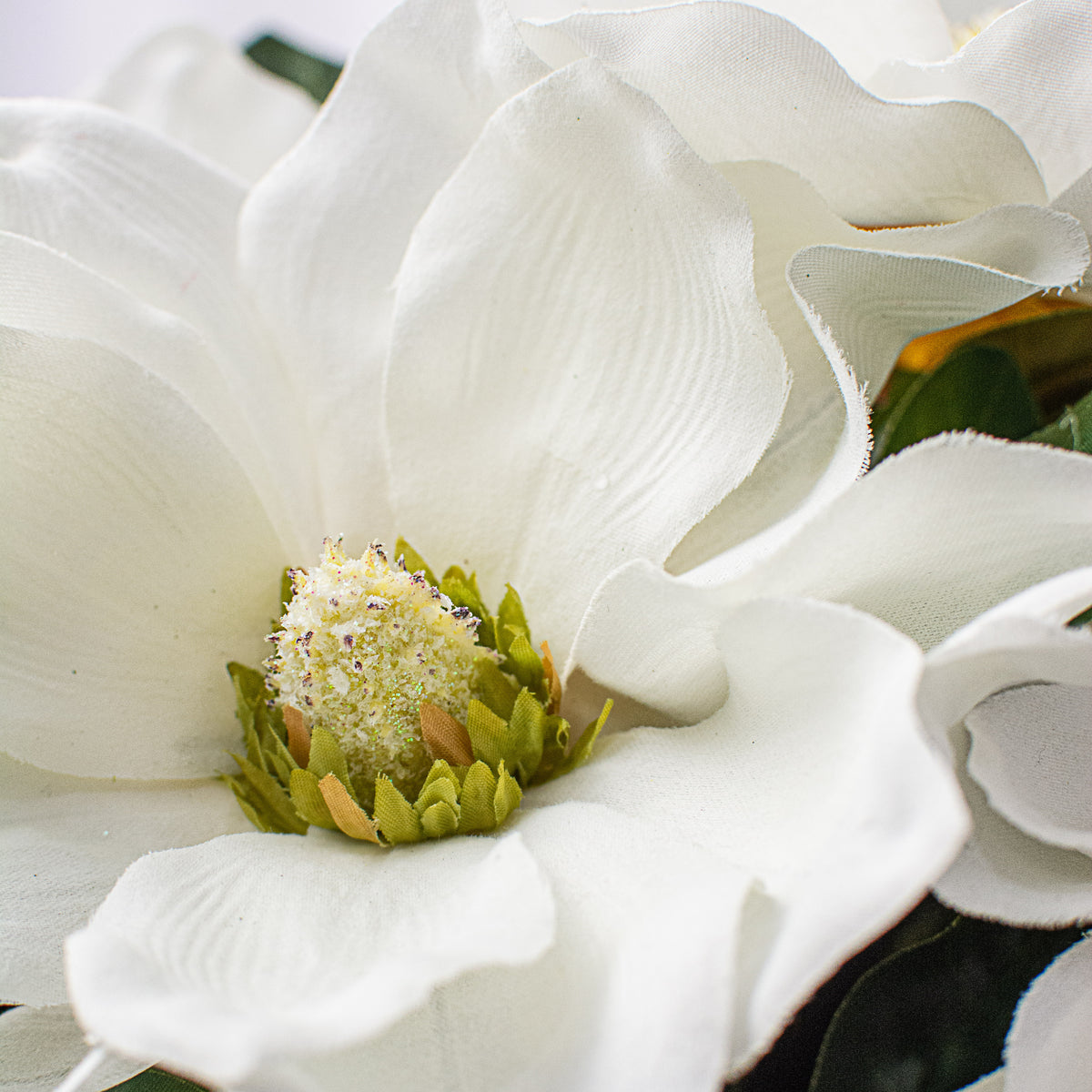 21" Magnolia Bush Lifestyle Photo