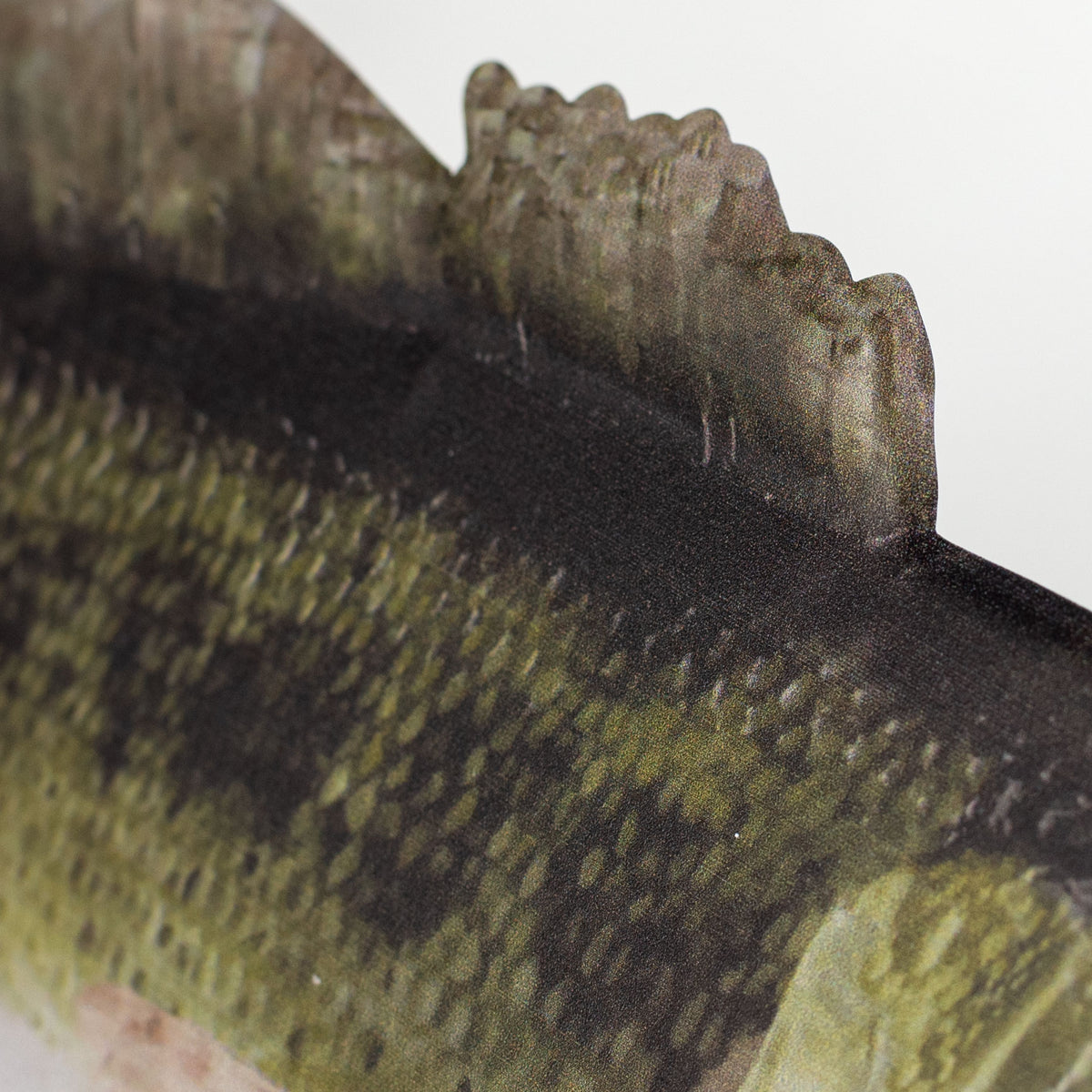 12" Metal Embossed Hanger: Large Mouth Bass detail photo 3