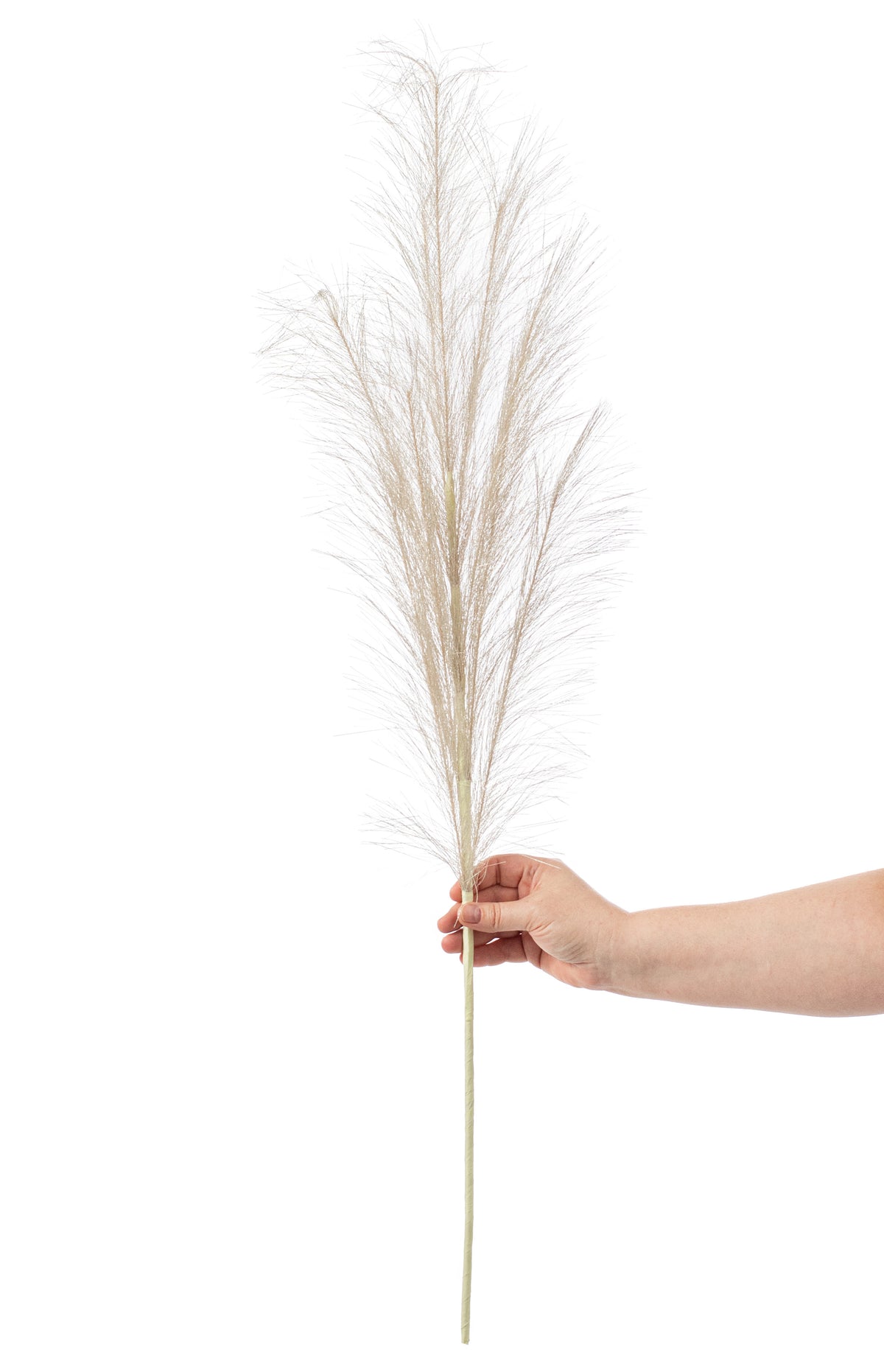 38" Metallic Pampas Grass Spray: Champagne detail photo 4