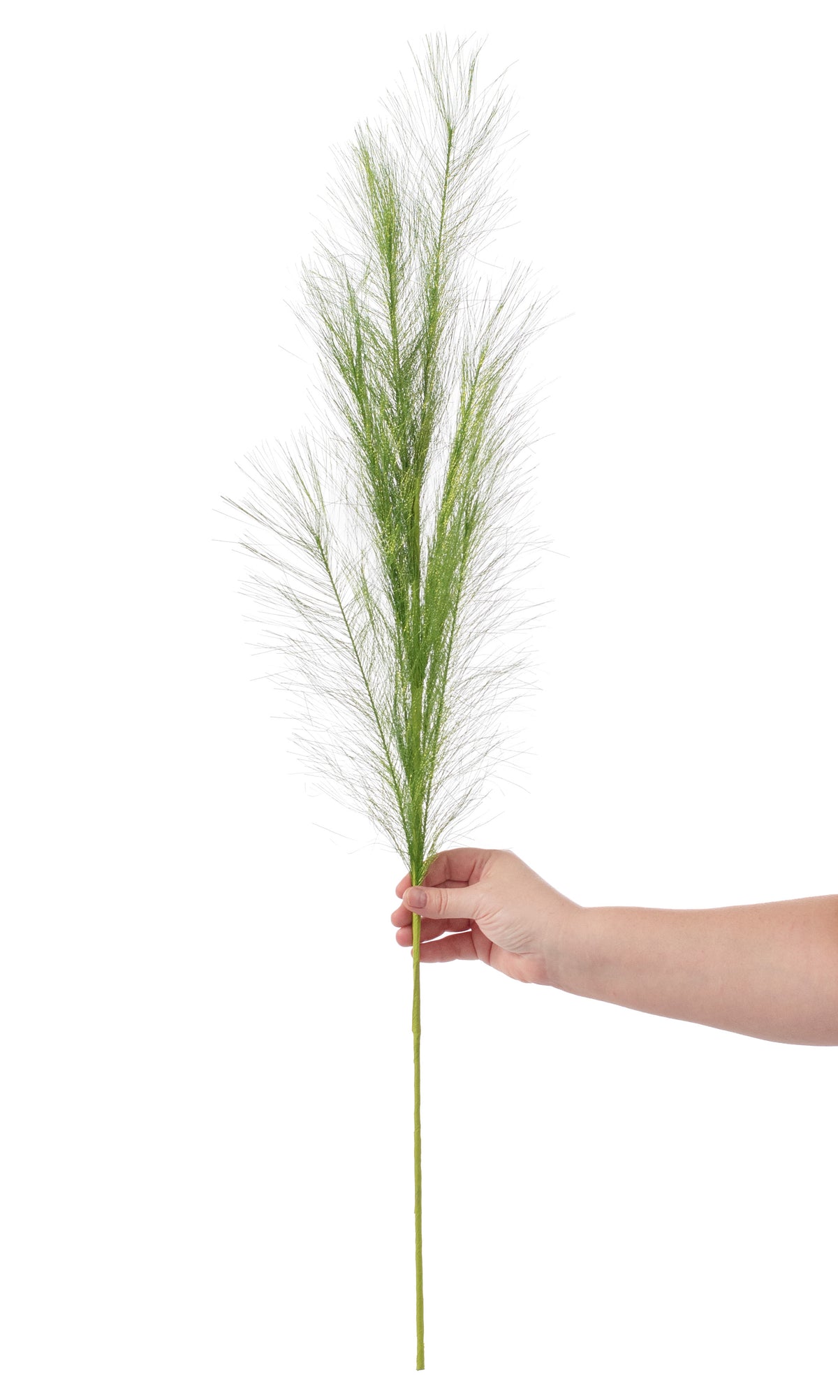 38" Metallic Pampas Grass Spray: Lime Green detail photo 4