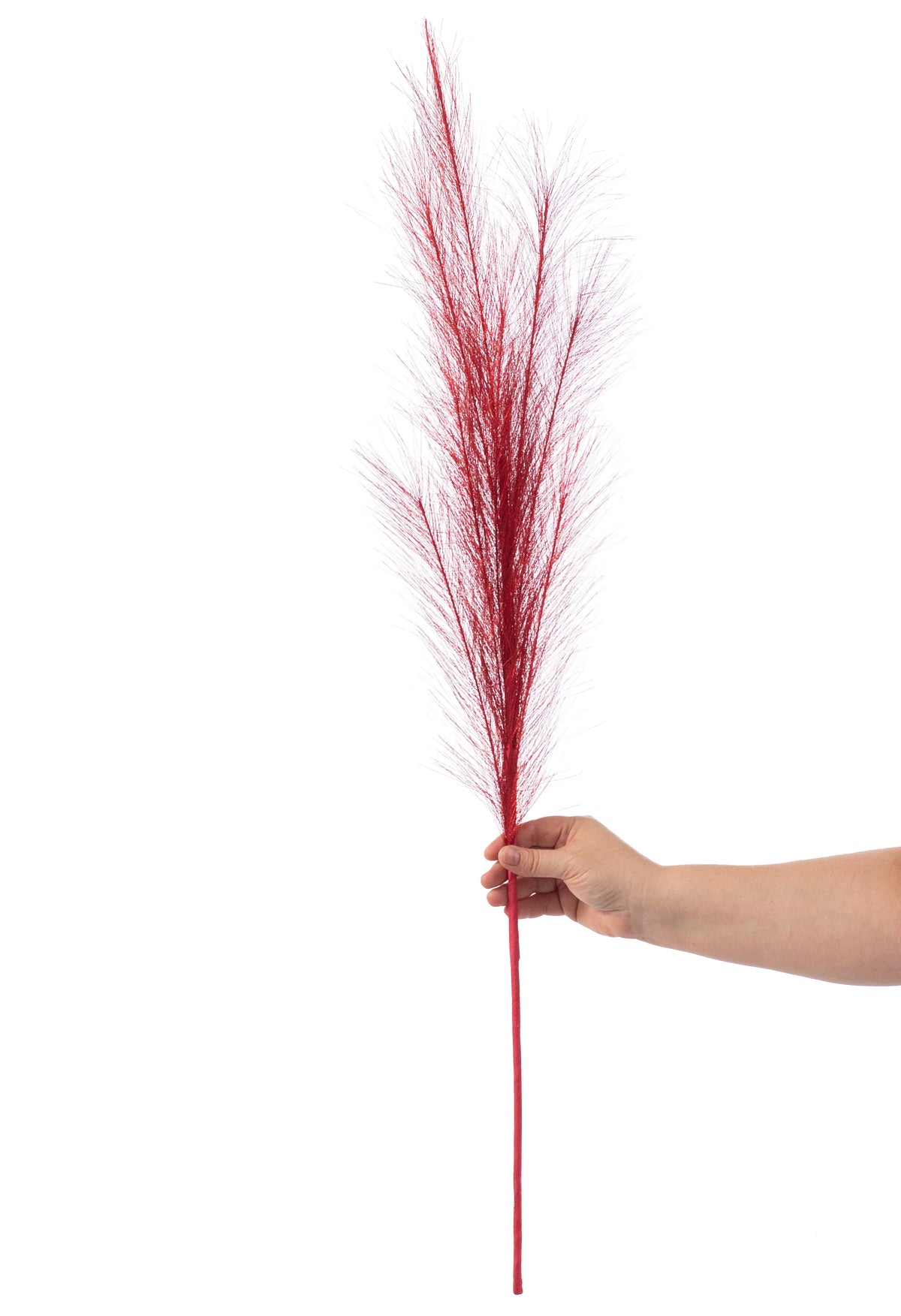 38" Metallic Pampas Grass Spray: Red detail photo 4