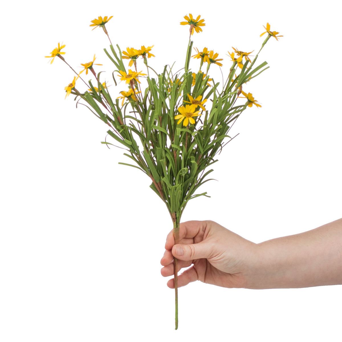 18" Mini Mountain Daisy Bush Lifestyle Photo