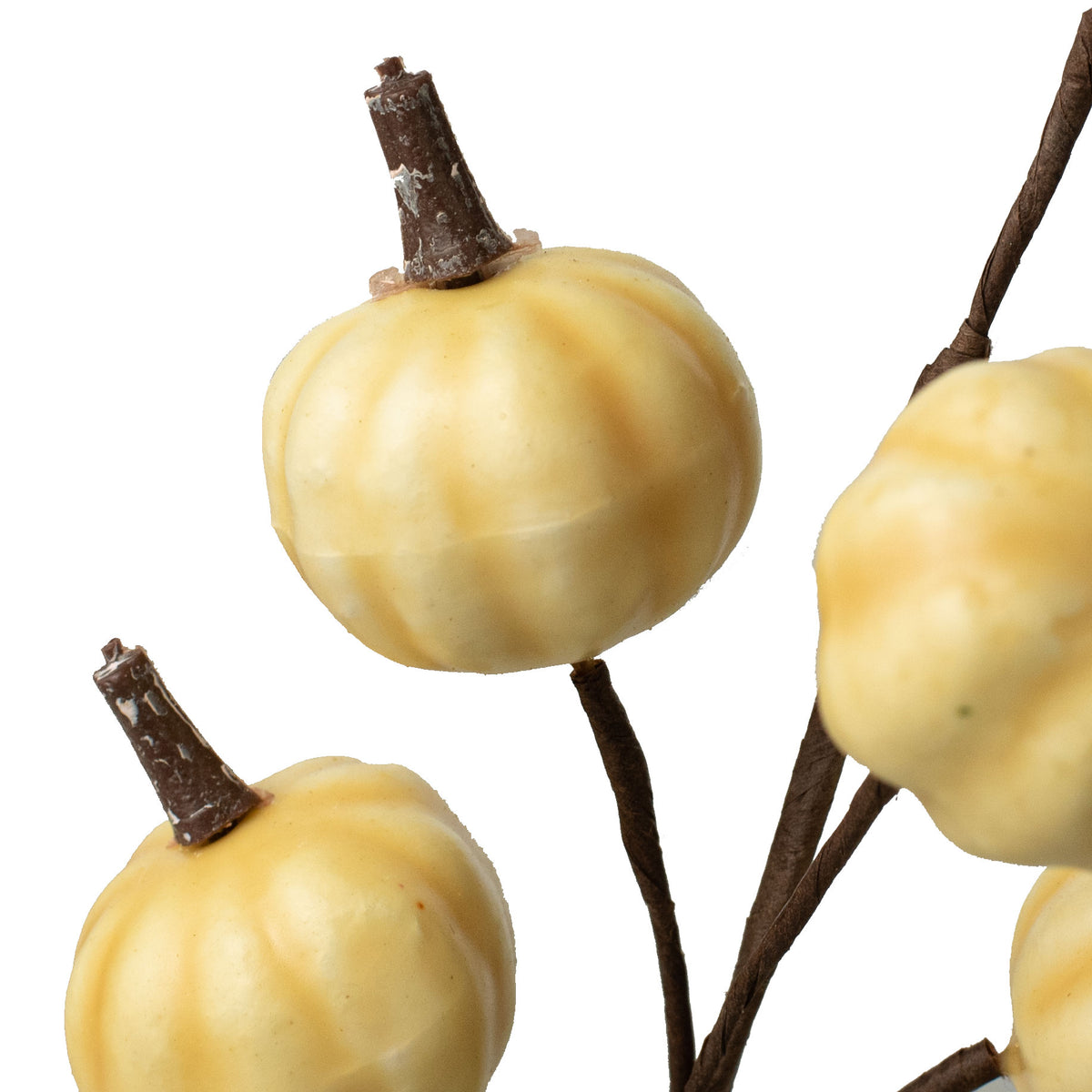 11" Mini Pumpkin Twiggy Pick: Cream Lifestyle Photo