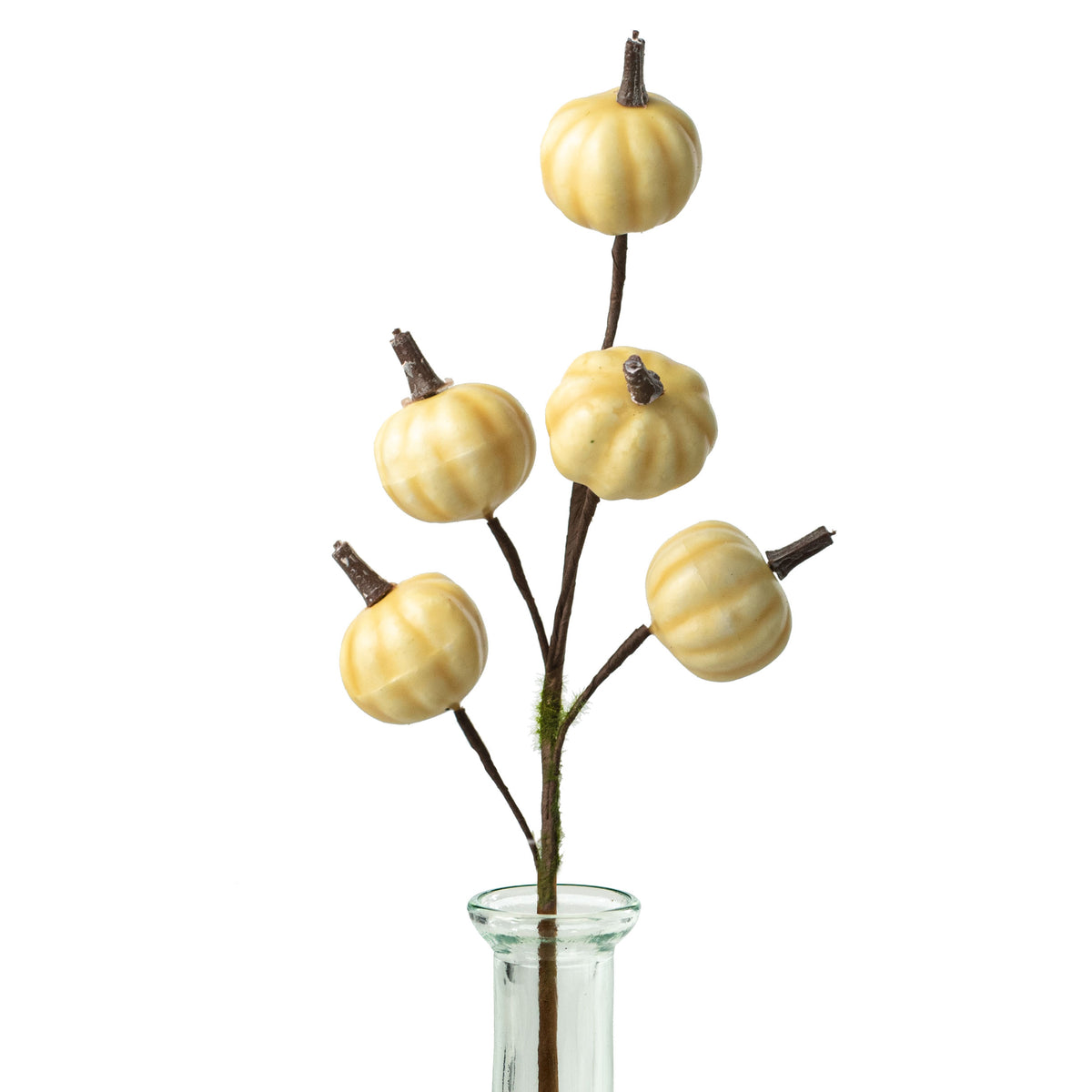 11" Mini Pumpkin Twiggy Pick: Cream Item Number: ISB72965