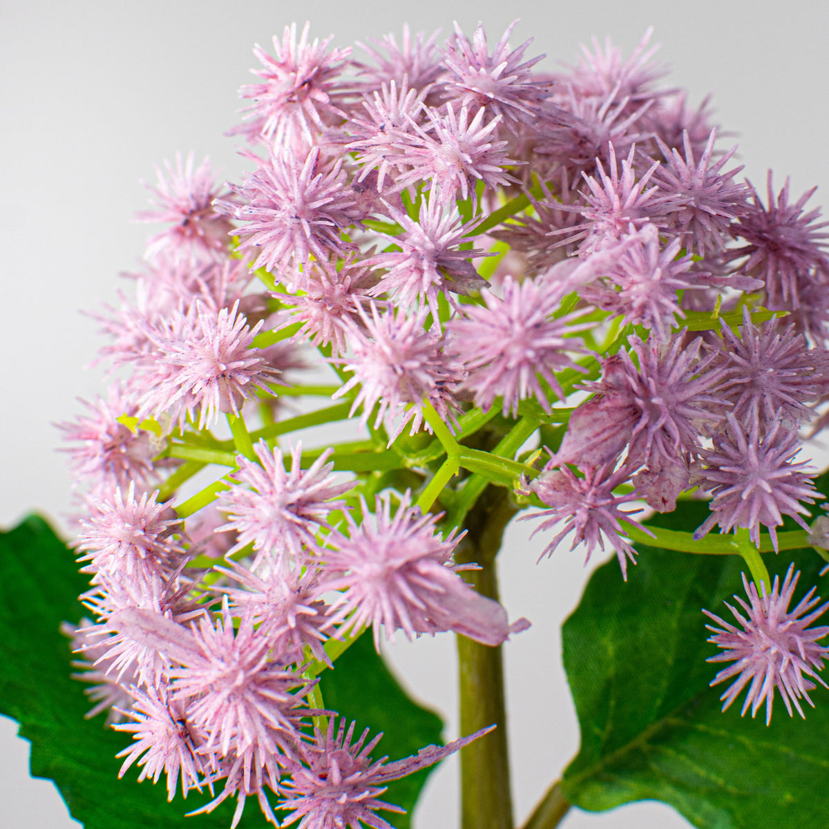 11" Mini Rambutan Pick: Purple Lifestyle Photo