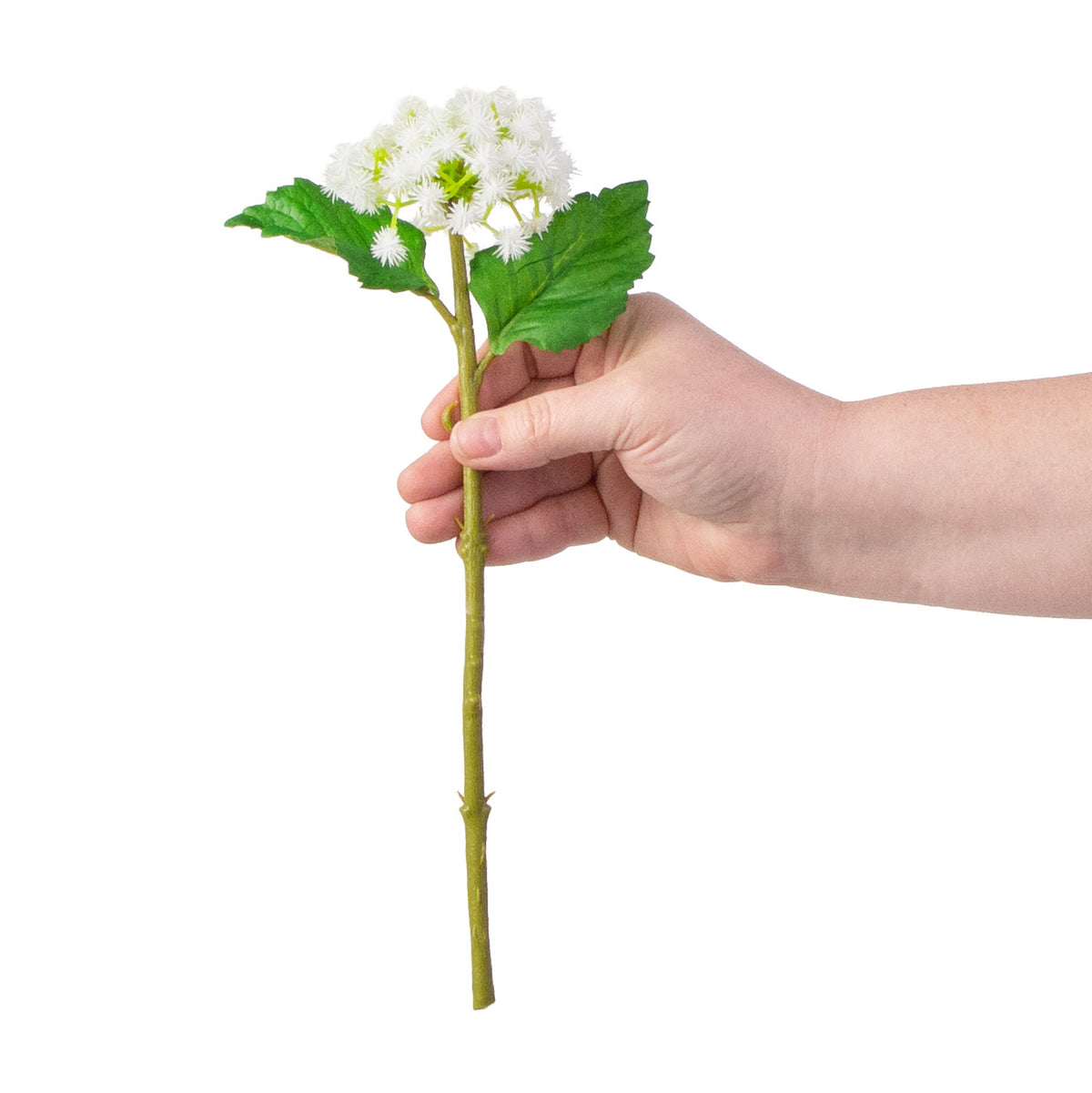 11" Mini Rambutan Pick: White detail photo 3