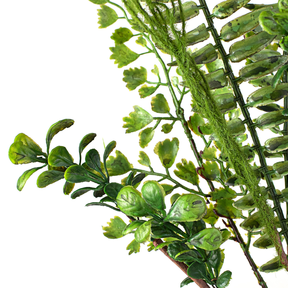 22" Mix Ficus Fern Spray Lifestyle Photo