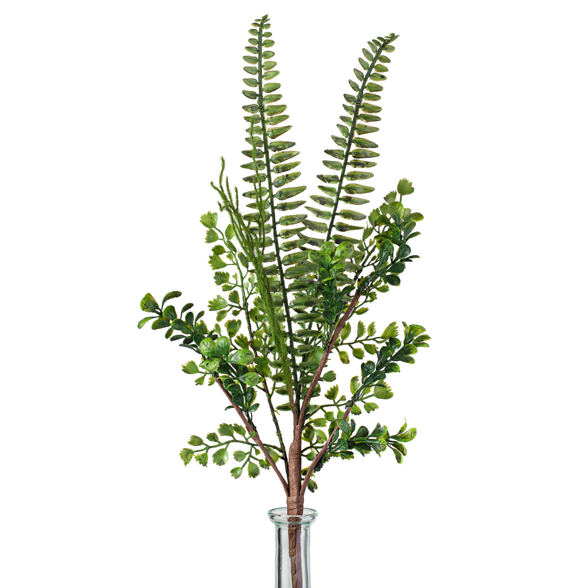 22" Mix Ficus Fern Spray Item Number: ISB72861
