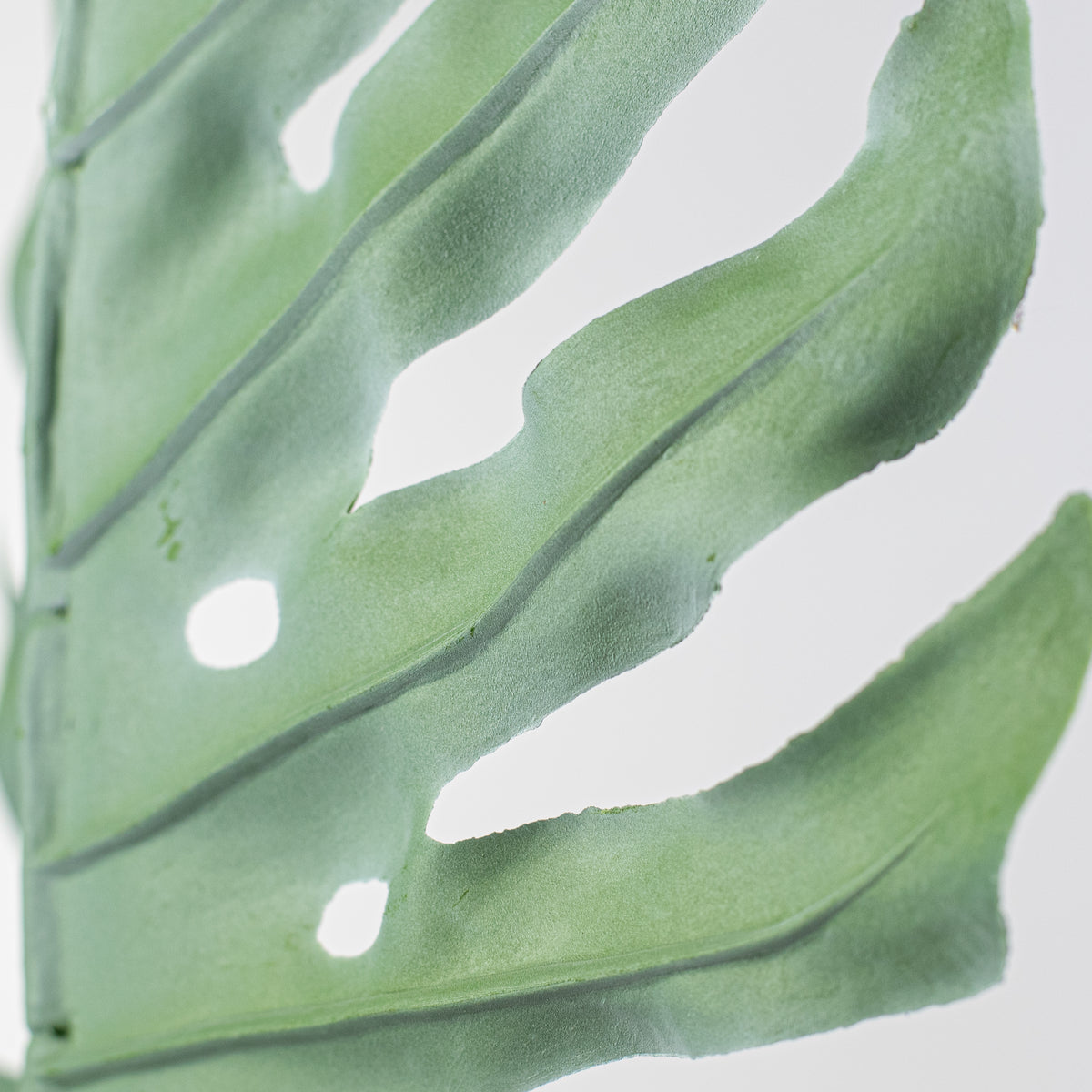 33" Monstera Leaf Stem detail photo 4