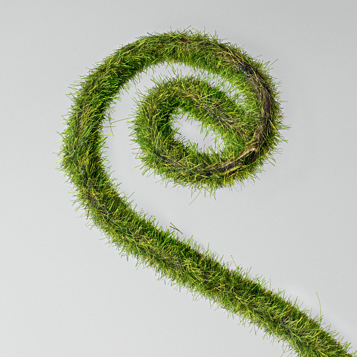 13" Moss Curly Pick Lifestyle Photo