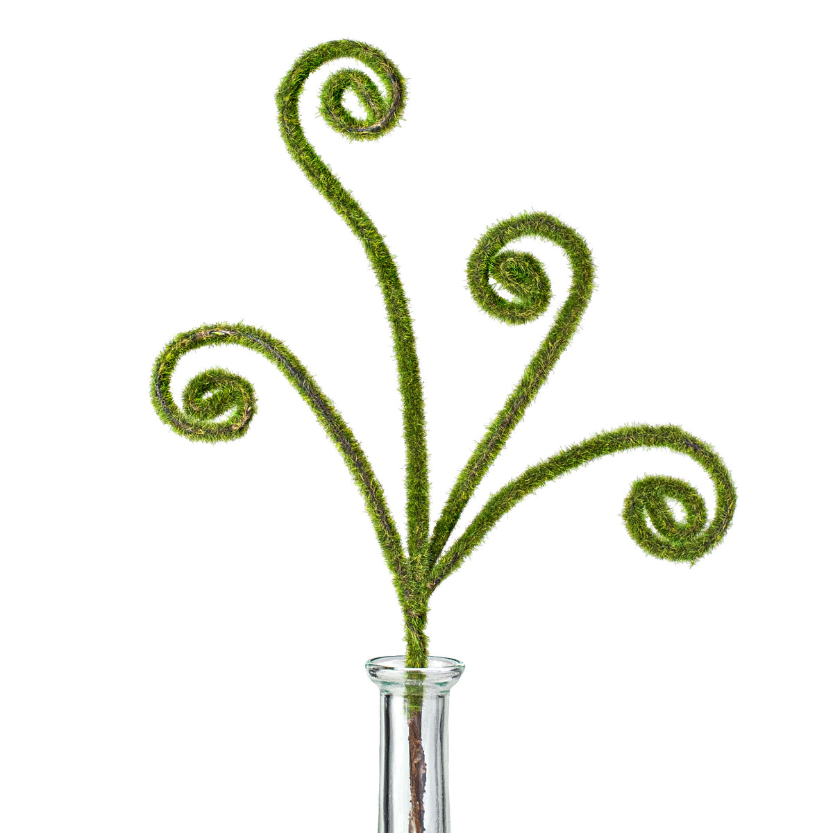 13" Moss Curly Pick Item Number: 29448GN