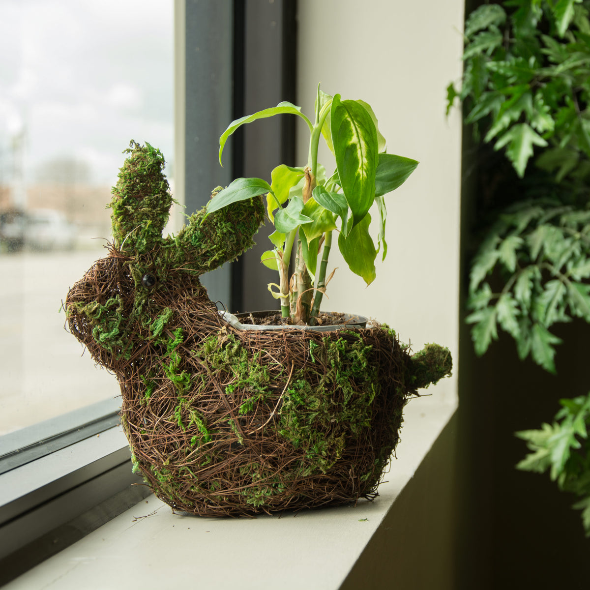 9" Mossy Vine Rabbit Planter Lifestyle Photo