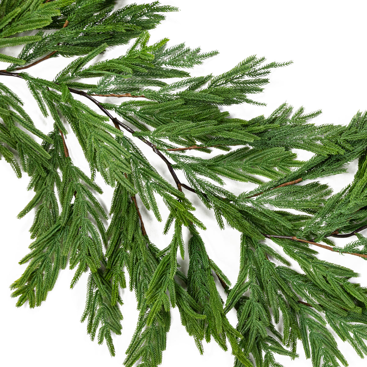 6' Norfolk Island Pine Hanging Garland Item Number: XX9418