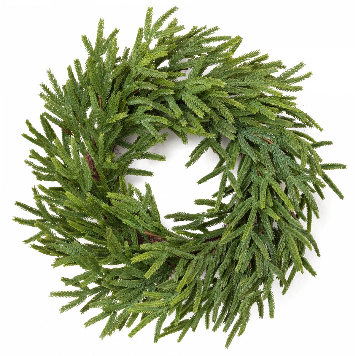 24" Norfolk Island Pine Wreath Item Number: XX9414