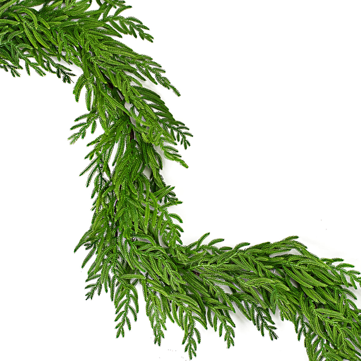 16' Norfolk Pine Garland Item Number: 2844027GR