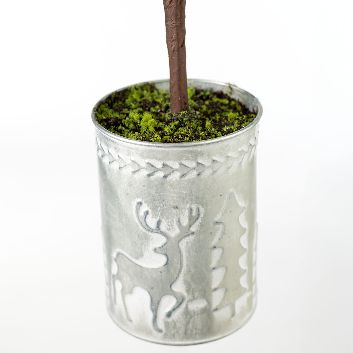 32" Norfolk Pine Potted Tree detail photo 4