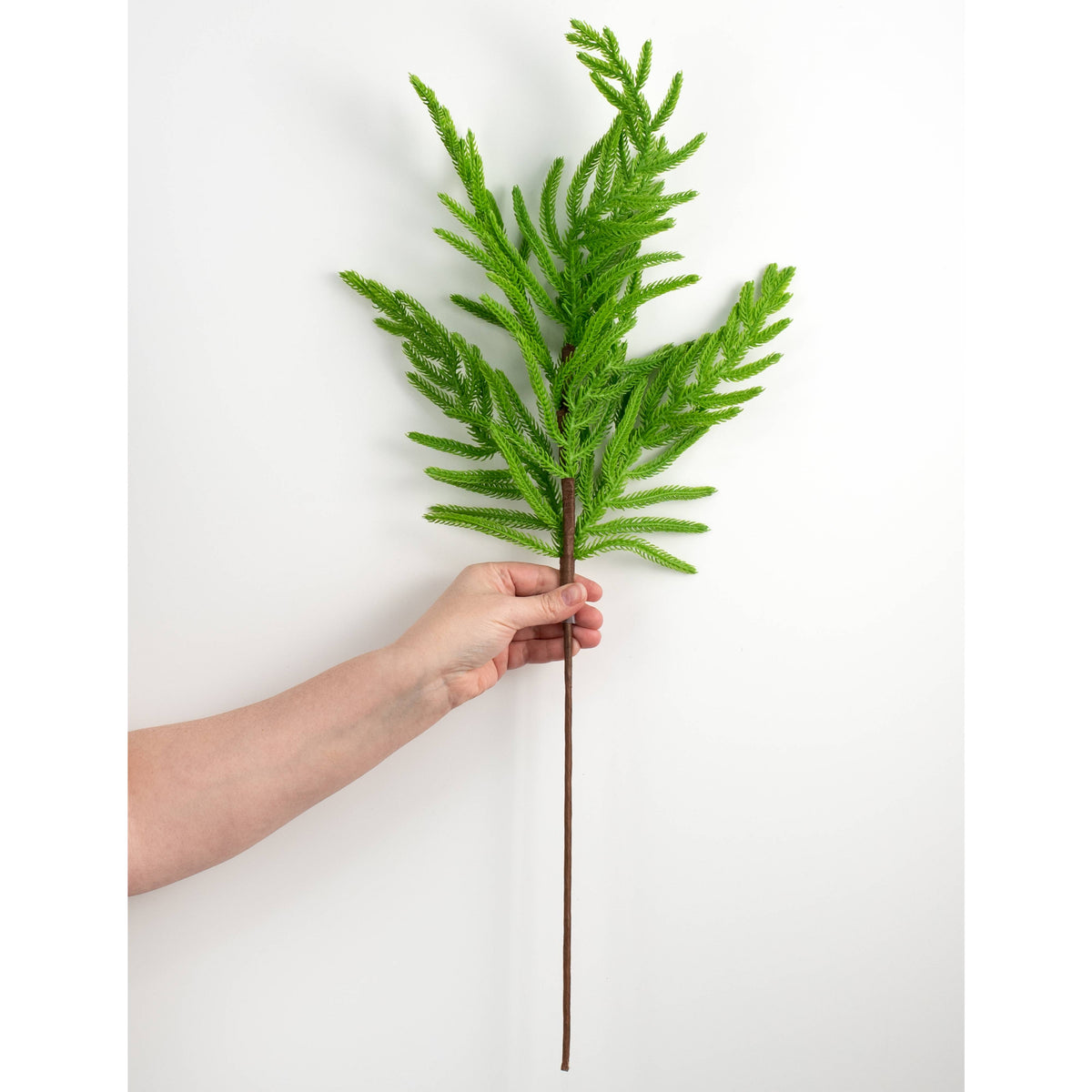 28" Norfolk Pine Spray: Green detail photo 3