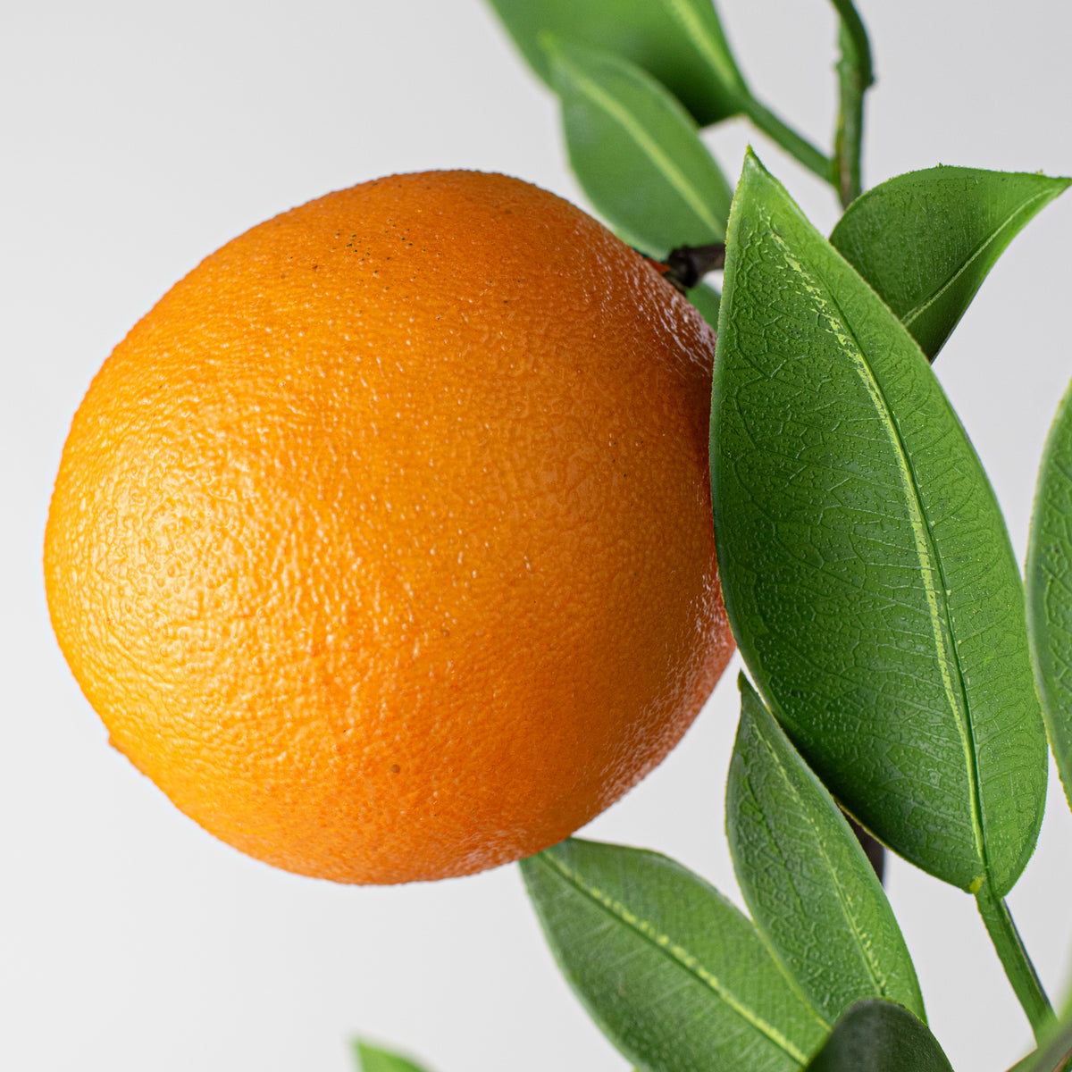 20" Oranges & Leaves Spray Lifestyle Photo