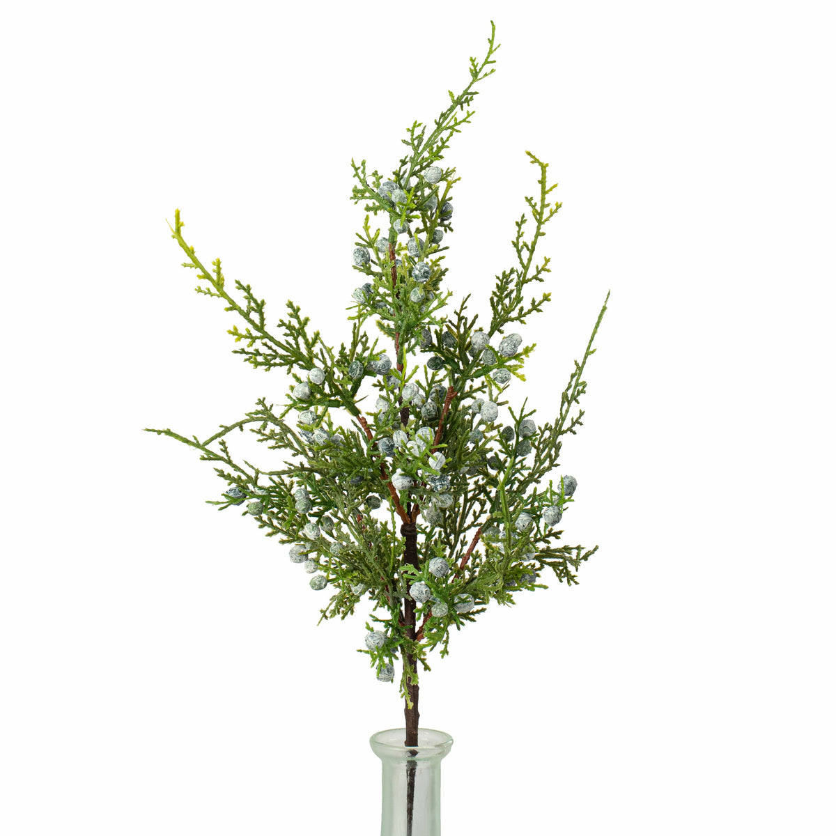 20" Oregon Juniper Spray: Two-Tone Green Item Number: 148249