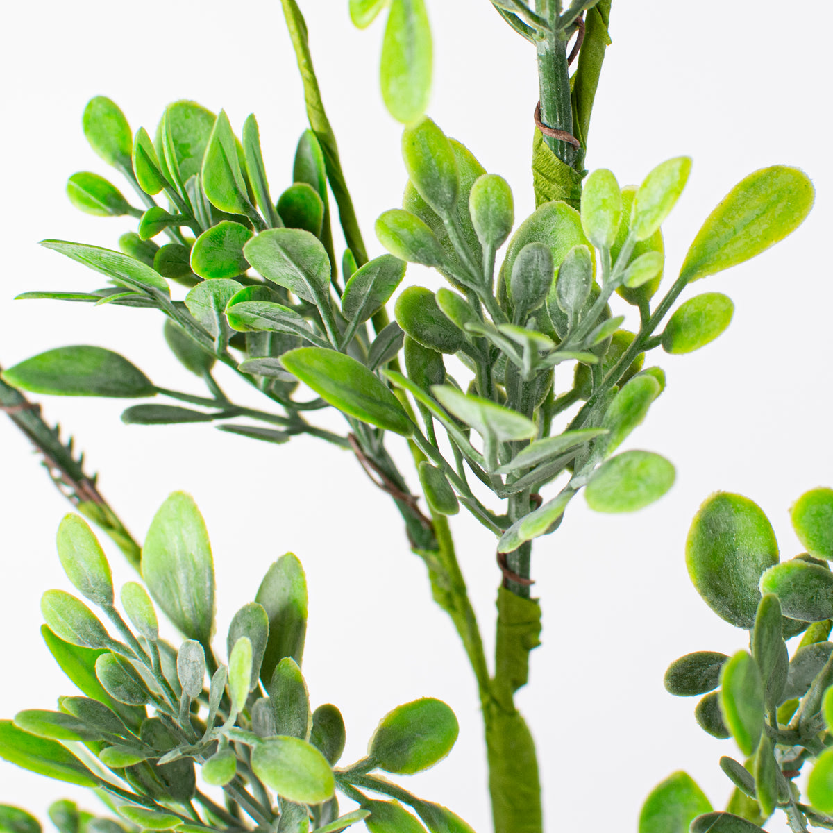 18" Oregonia Greenery Leaves Pick Lifestyle Photo