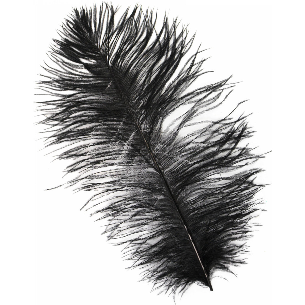 15" Ostrich Feather: Black Item Number: 7148-BLACK