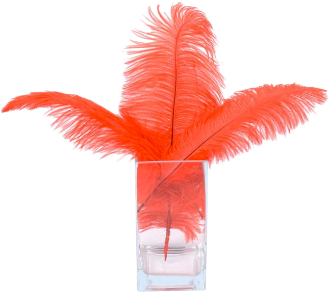 15" Ostrich Feather: Red detail photo 3
