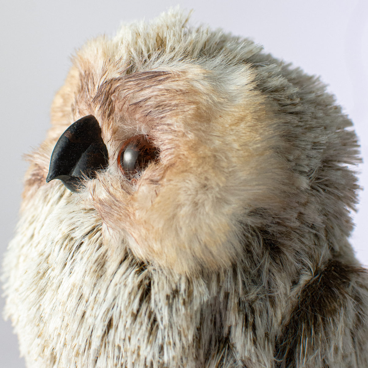 6" Owl Decoration detail photo 4