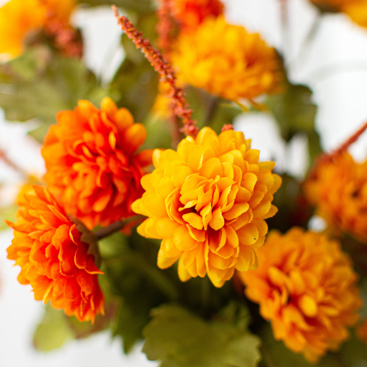17" Pompom Mum Bush: Orange & Yellow (12 Stem) Lifestyle Photo