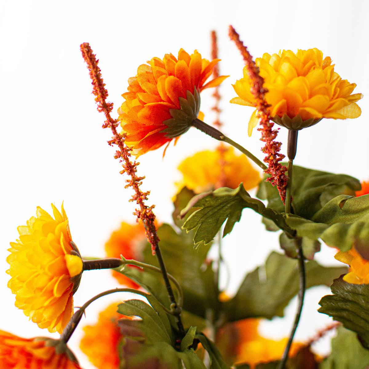 17" Pompom Mum Bush: Orange & Yellow (12 Stem) detail photo 5