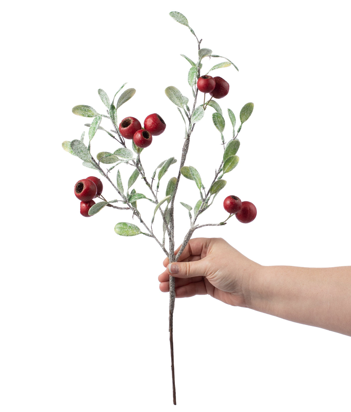 20" Poppy Pod & Frosted Leaf Pick Lifestyle Photo