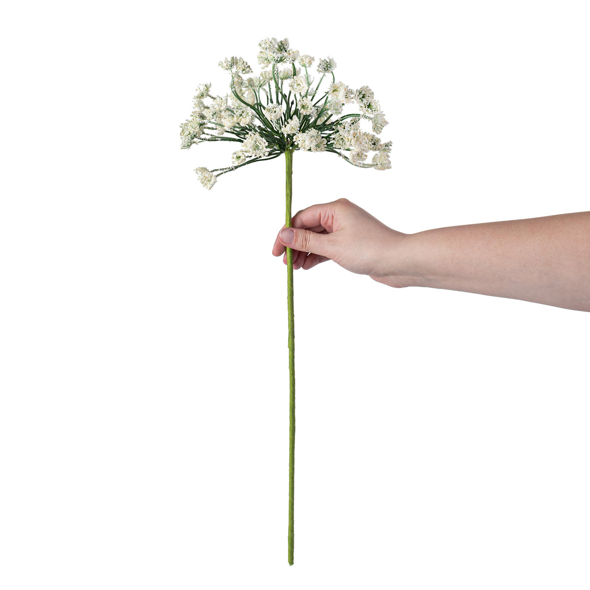 21" Queen Ann Heather Blossom Stem: Cream detail photo 3
