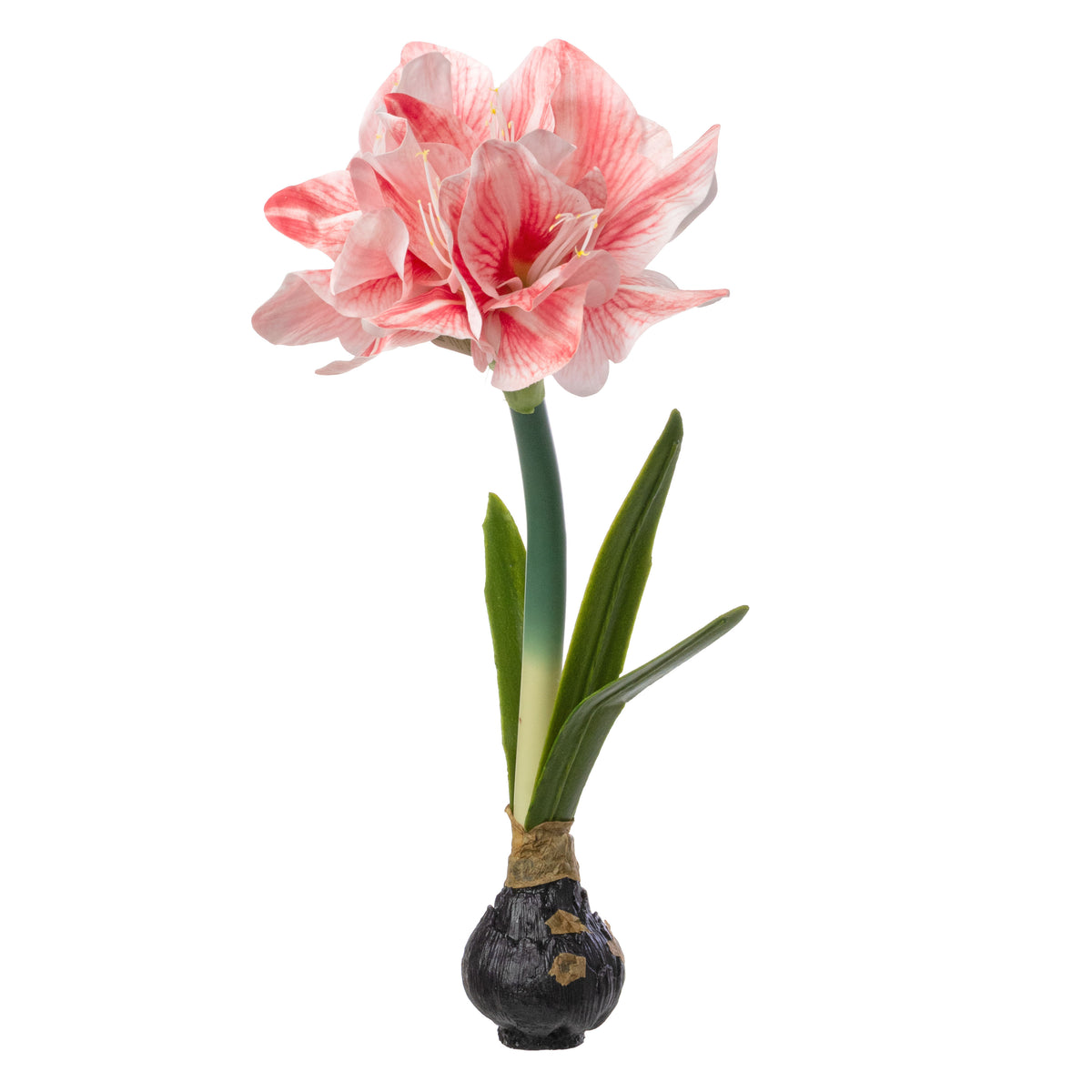 19" Real Touch Amaryllis Bulb Item Number: F4422634