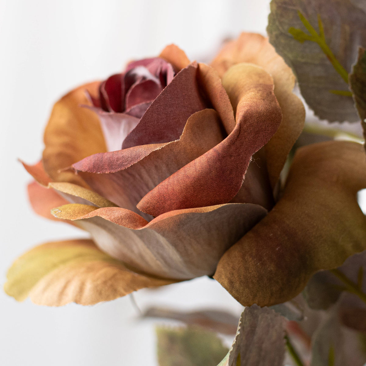 19" Rose Bud Bush: Ombré Fall Hues Lifestyle Photo