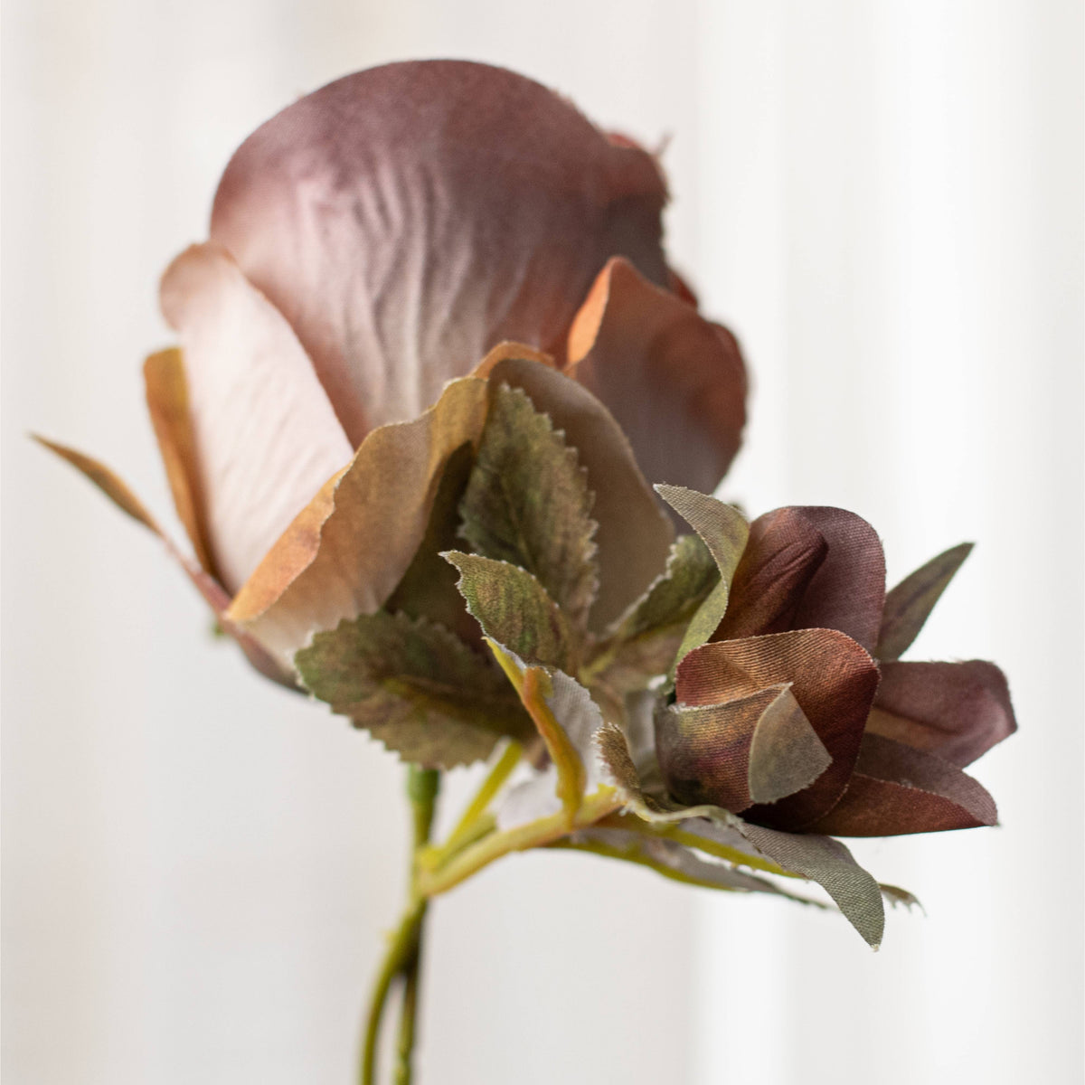 19" Rose Bud Bush: Ombré Fall Hues detail photo 4