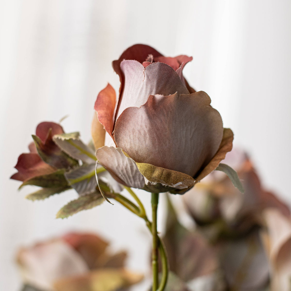19" Rose Bud Bush: Ombré Fall Hues detail photo 5