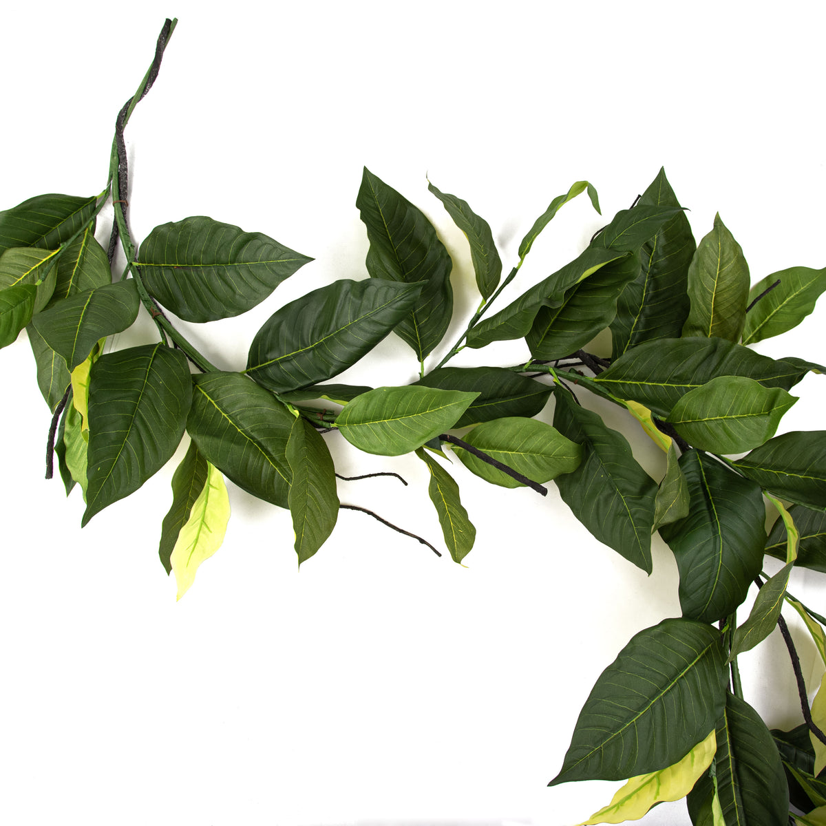 5.5' Salal Lemon Leaf Garland Item Number: 02587G