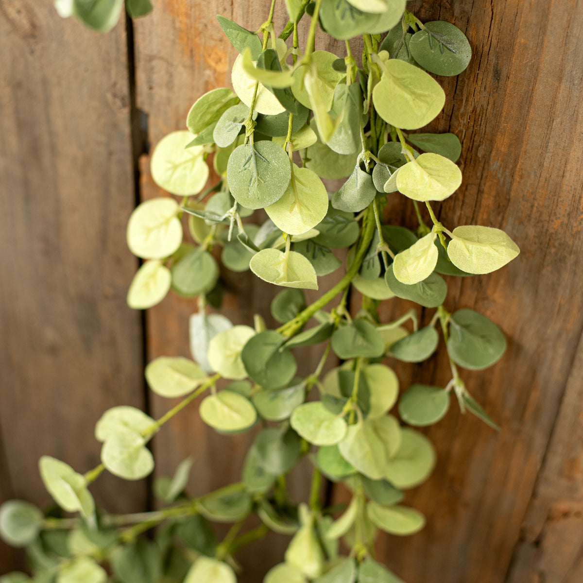 5' Silver Dollar Eucalyptus Garland Lifestyle Photo