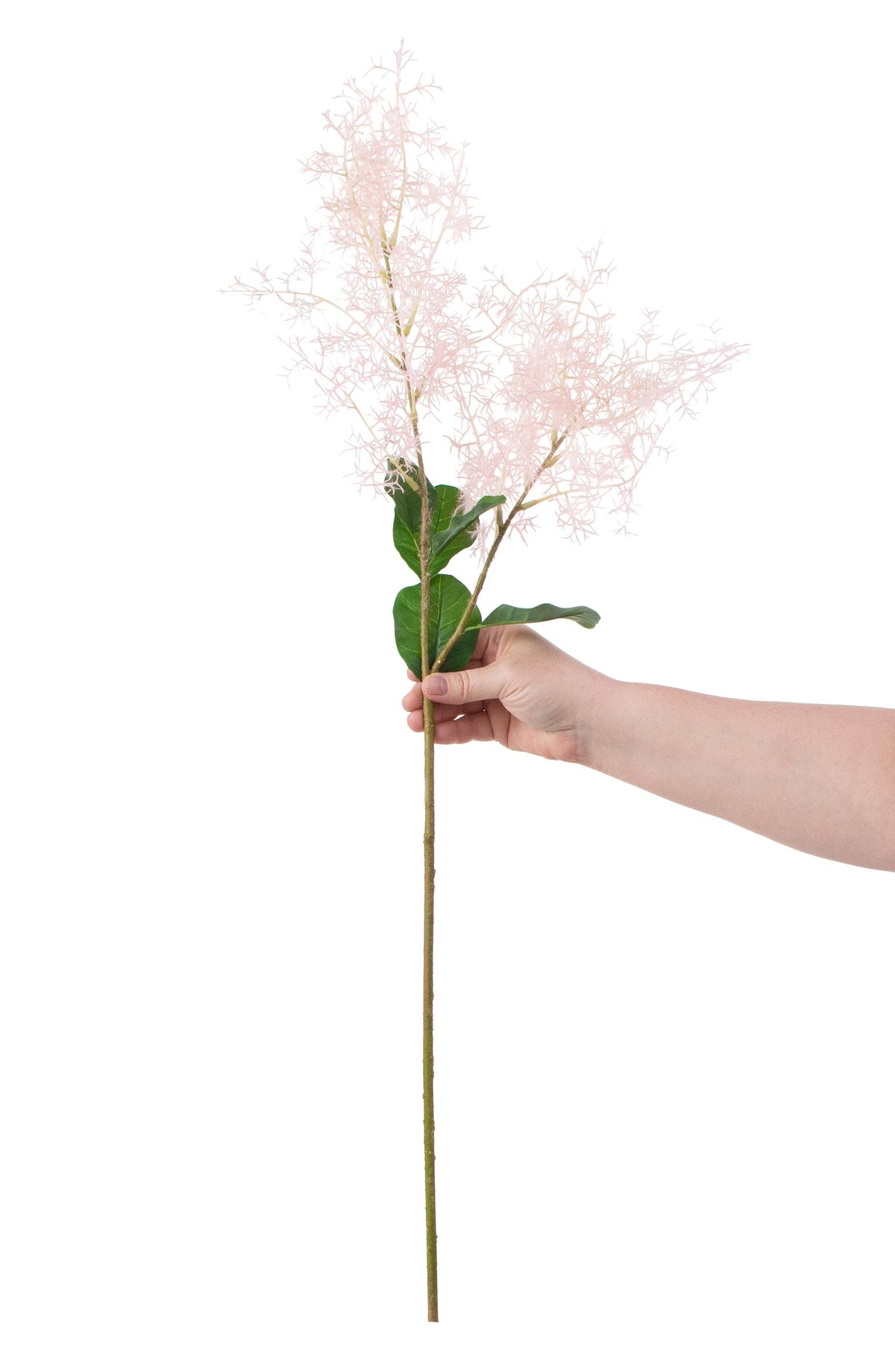 32" Smoke Tree Spray: Pink detail photo 3
