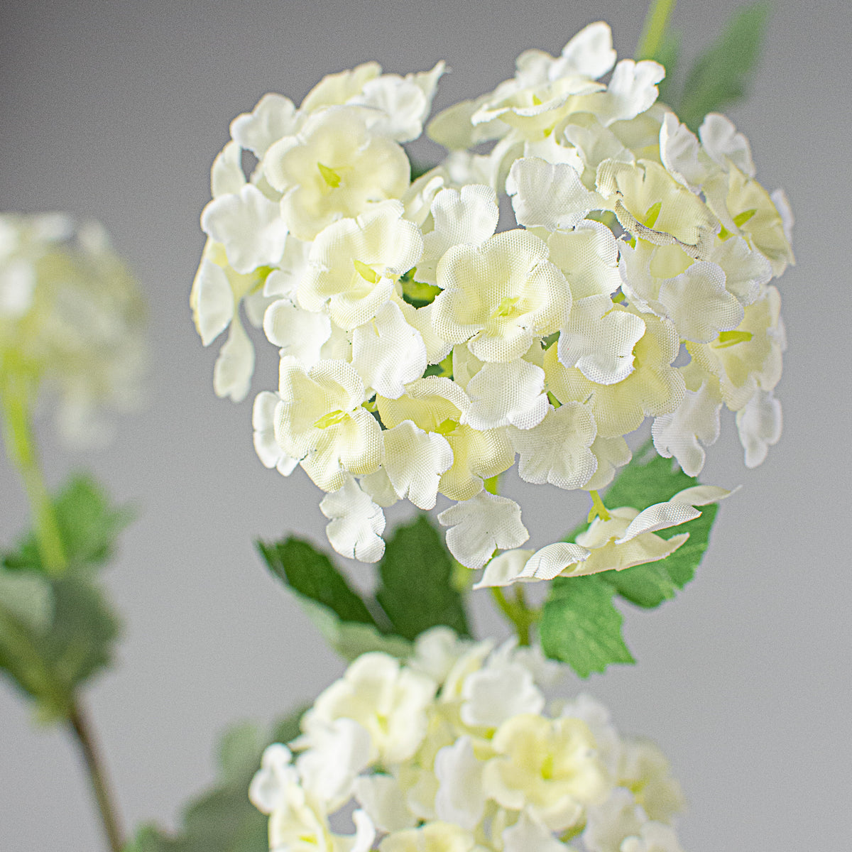 28" Snowball Hydrangea Spray: Cream Lifestyle Photo