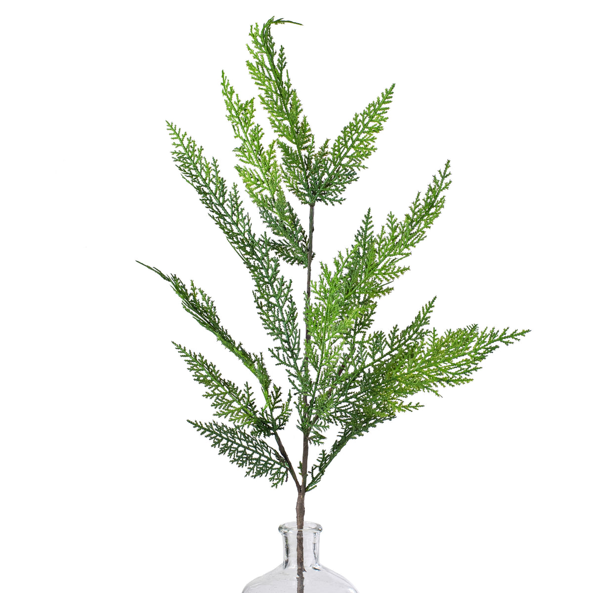 36" Soft Touch Cedar Spray Item Number: 279142