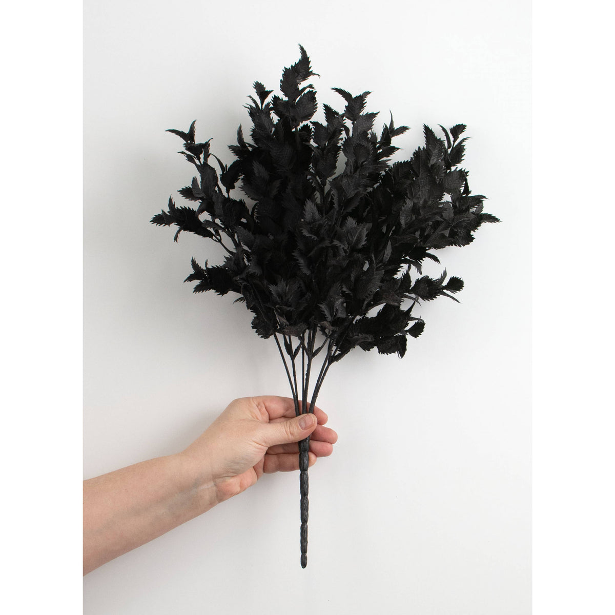 19" Spiky Thistle Leaves Bush: Black detail photo 3