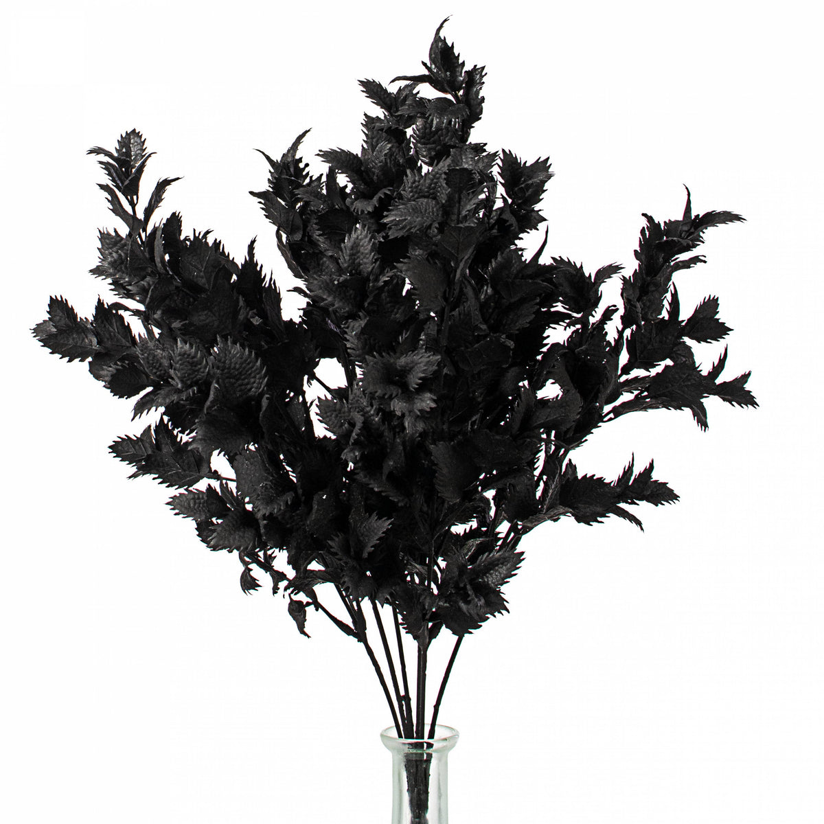 19" Spiky Thistle Leaves Bush: Black Item Number: 84477