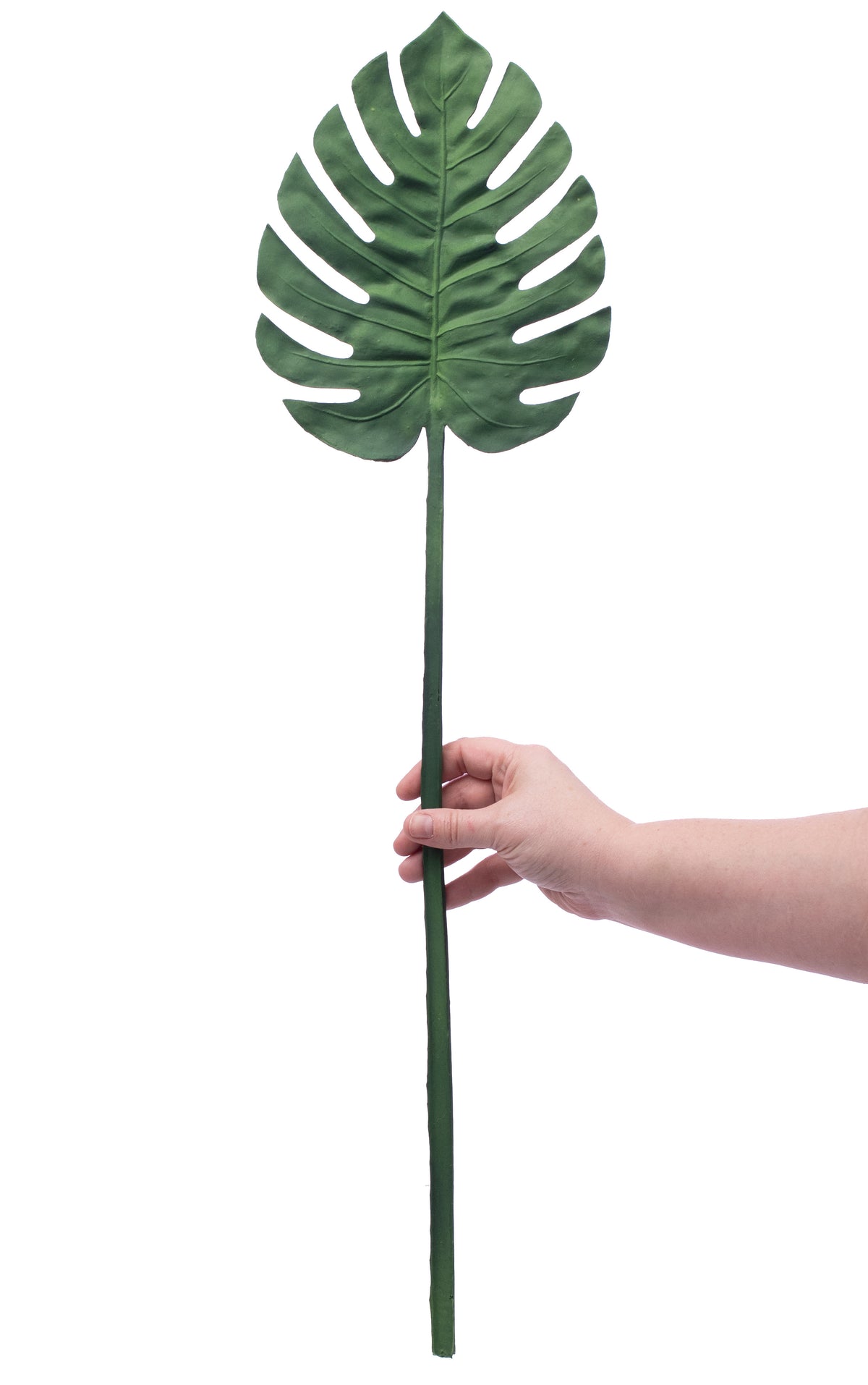 29" Split Leaf Philodendron Stem Lifestyle Photo